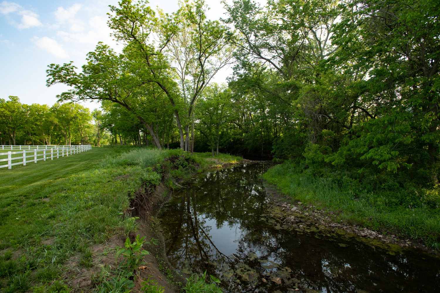 Kill Creek at Hidden Timber Farm horse pasture boarding